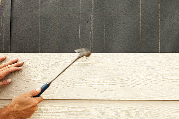 Best Siding Painting and Refinishing  in Gunnison, UT